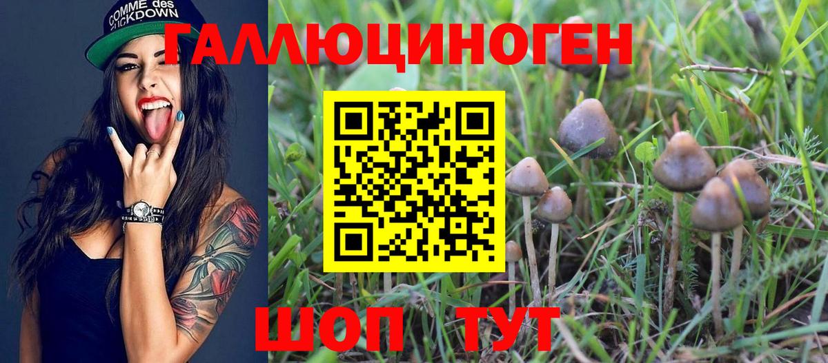 Галлюциногенные грибы GOLDEN TEACHER  Псилоцибиновые грибы Psilocybine cubensis  Белорецк  Вход с VPN 
