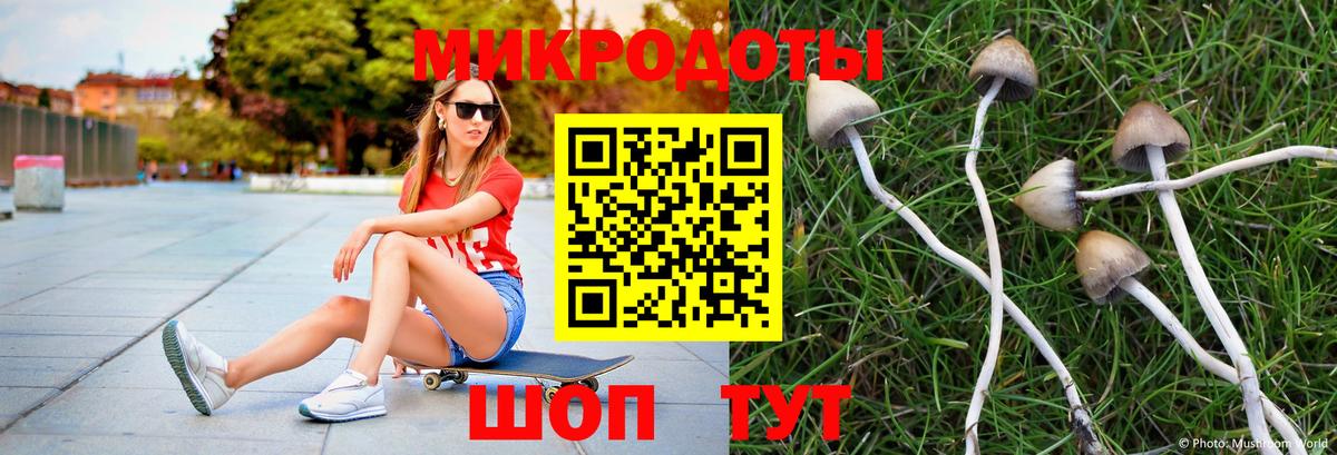 Псилоцибиновые грибы ЛСД Белорецк